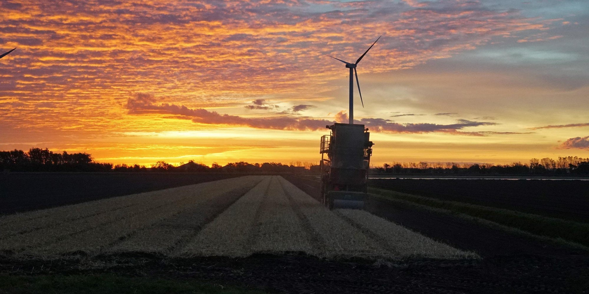 Wat gebeurt er in de polder?