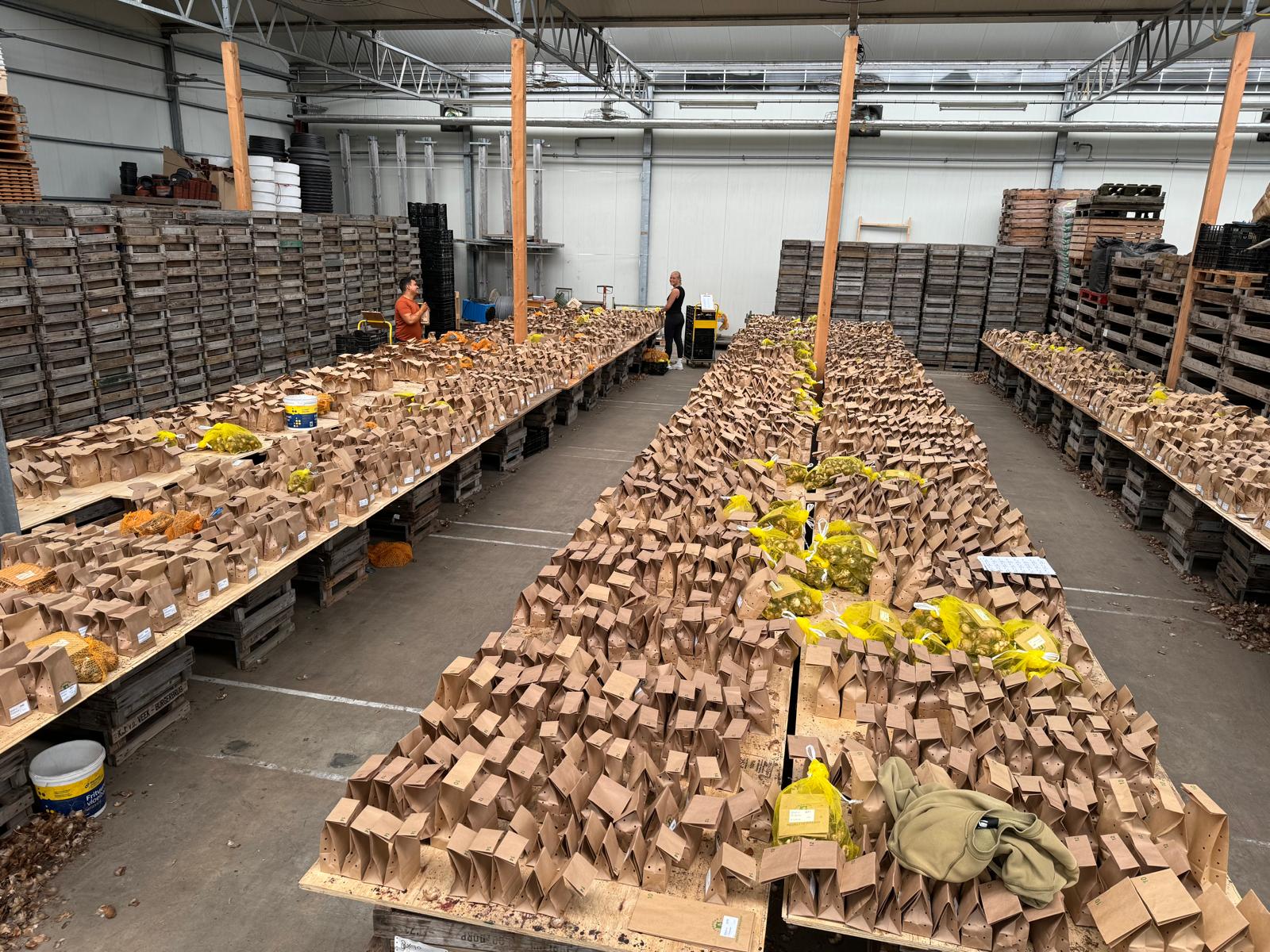 Zomervakantie… of toch niet?