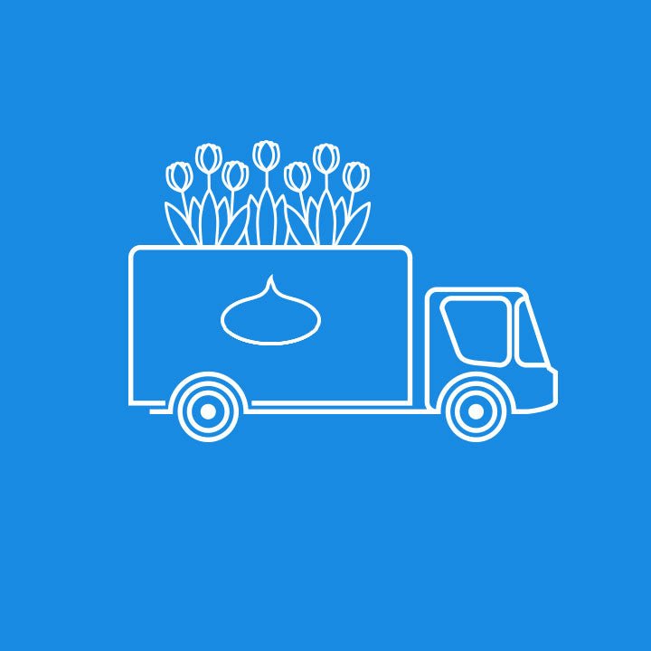 De bollen worden in het najaar verzonden - fluwelnl