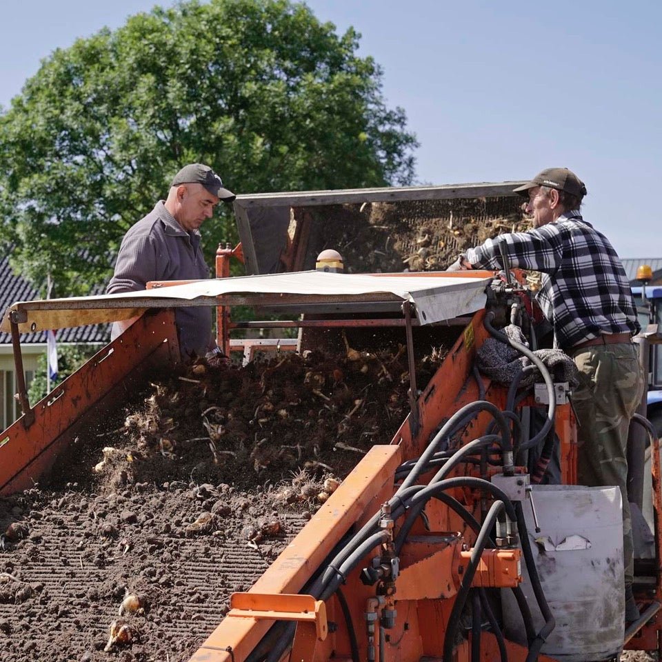 De oogst is weer begonnen - fluwelnl