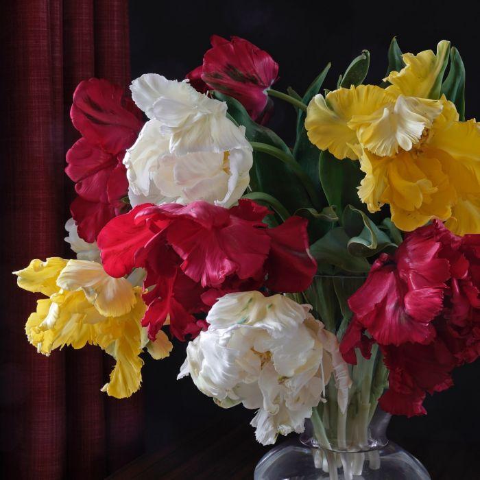 “Het gaat altijd anders dan je denkt” - fluwelnl