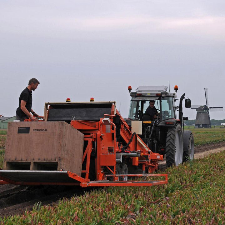 Het tulpen rooien is weer begonnen! - fluwelnl