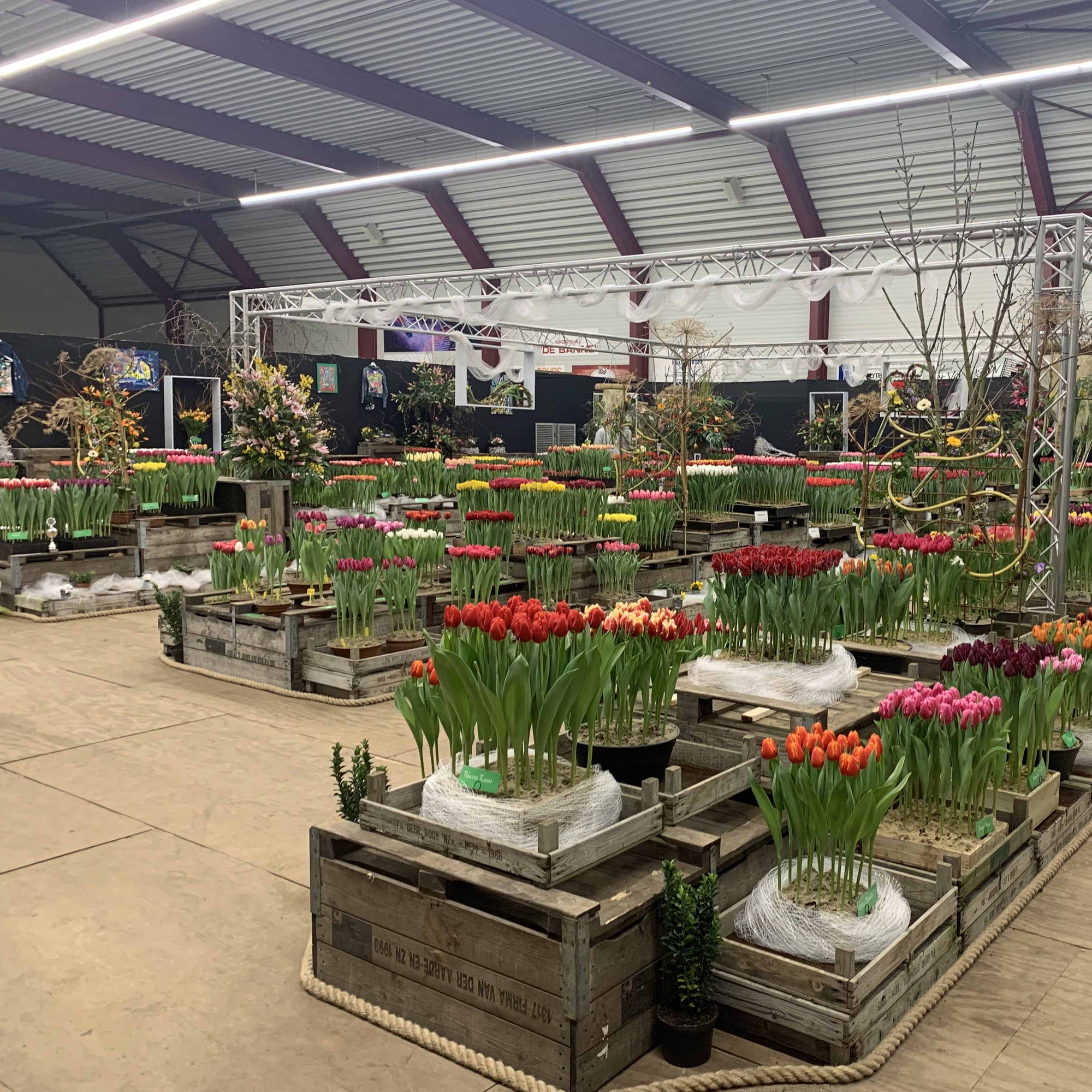 Wat een gedoe - fluwelnl