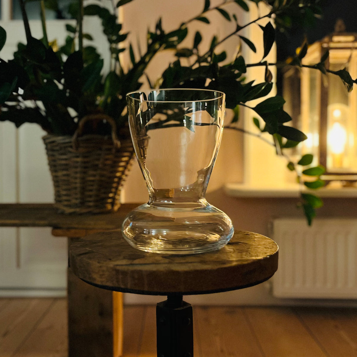 Amaryllis vase with Amaryllis bulb