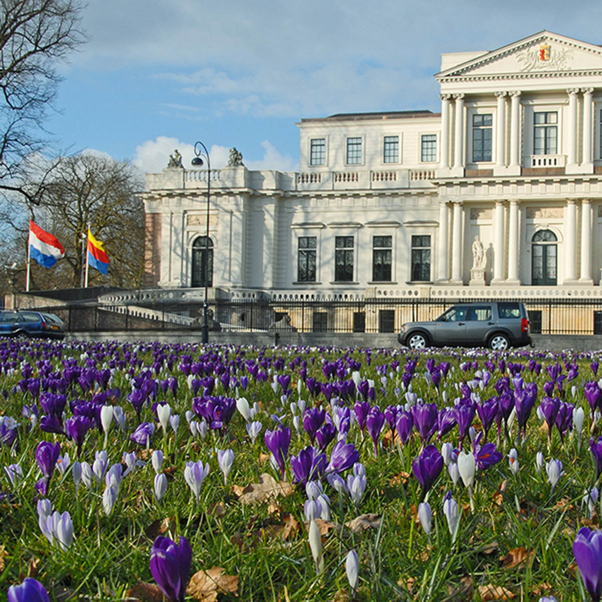 Hocus Crocus