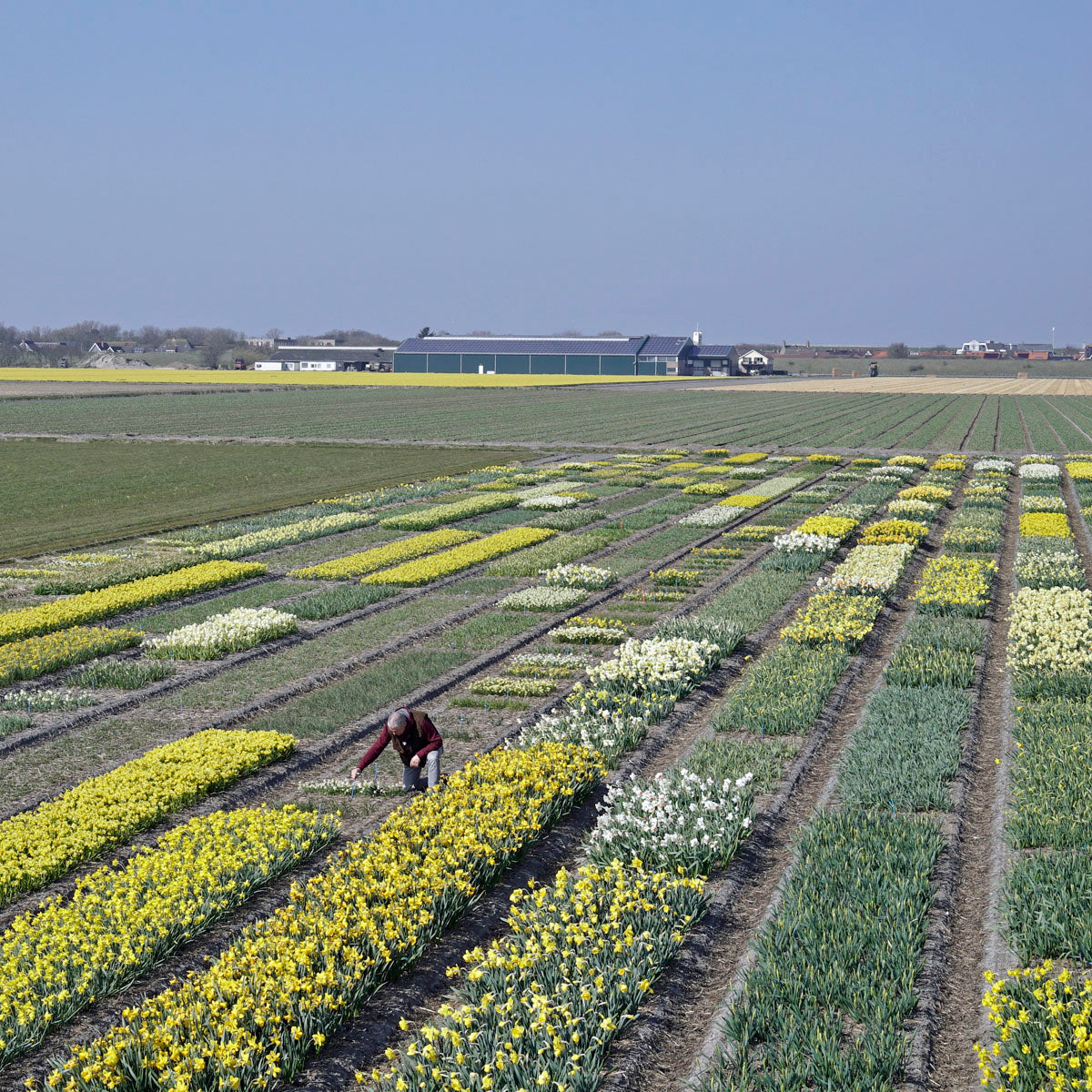 Mooi, mooier en nog mooier en dat driehonderdeenenvijftig keer