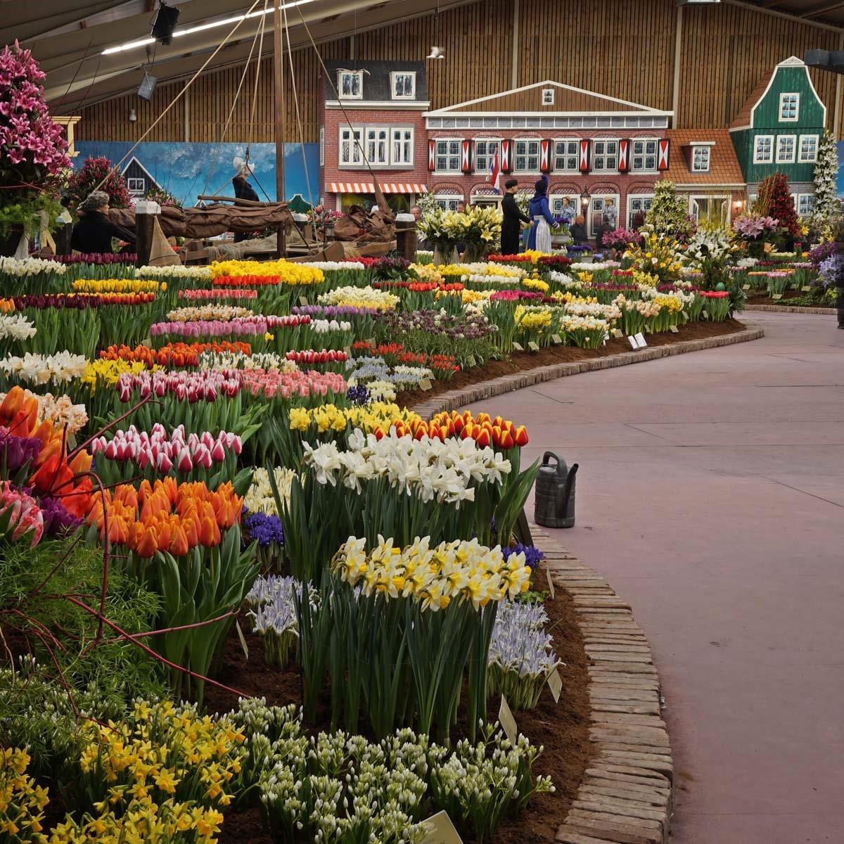Lentetuin Breezand