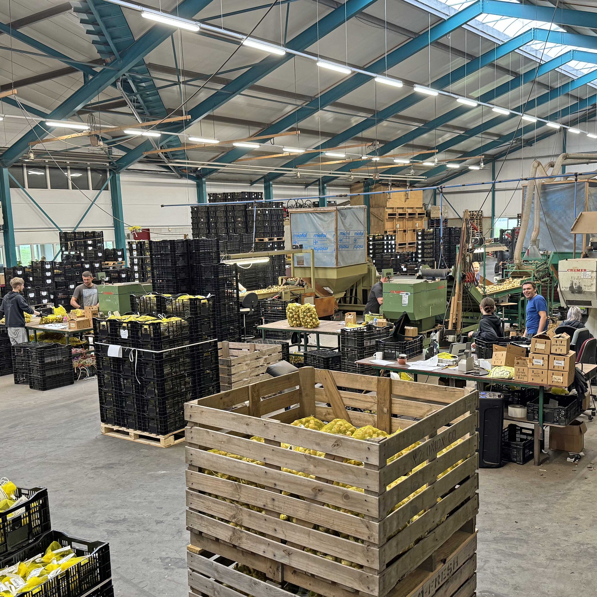 Bollen uitzoeken op Olympisch niveau - fluwelnl