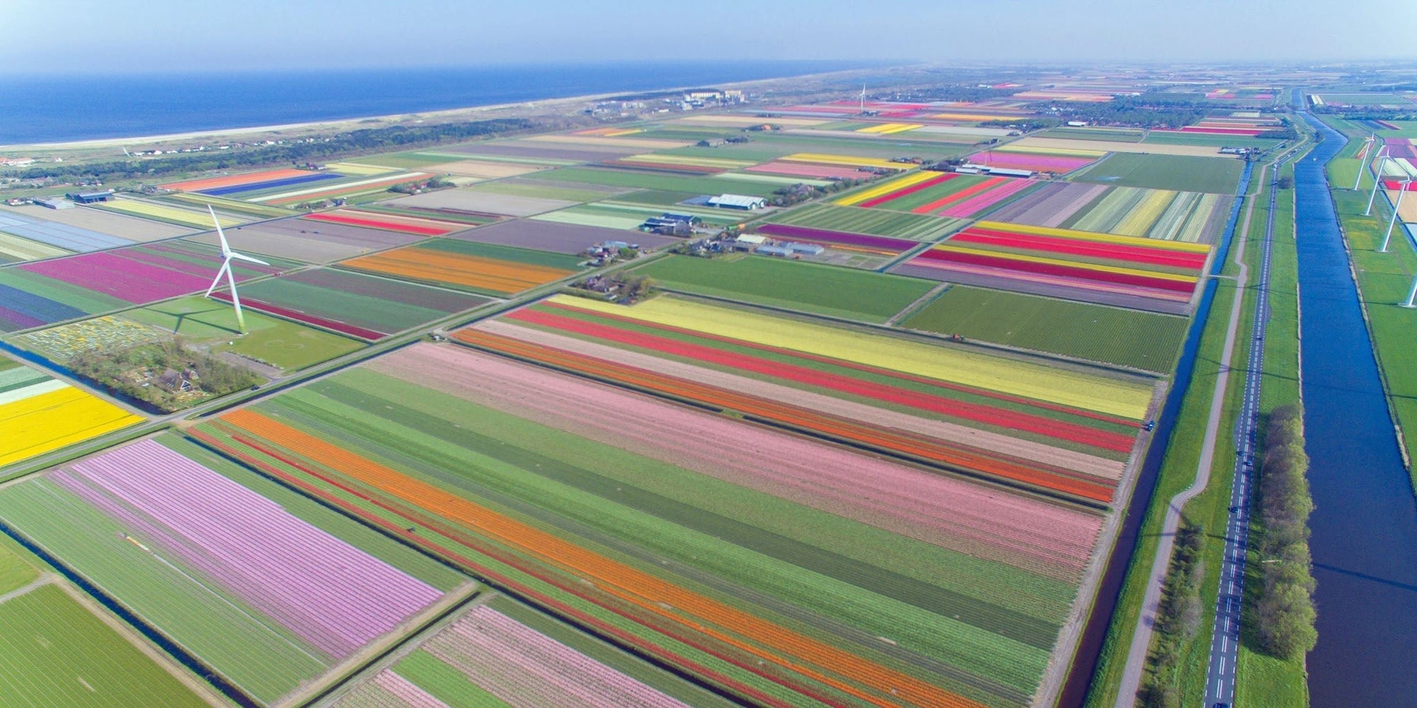 Daar ga ik een nieuwsbrief over schrijven - fluwelnl
