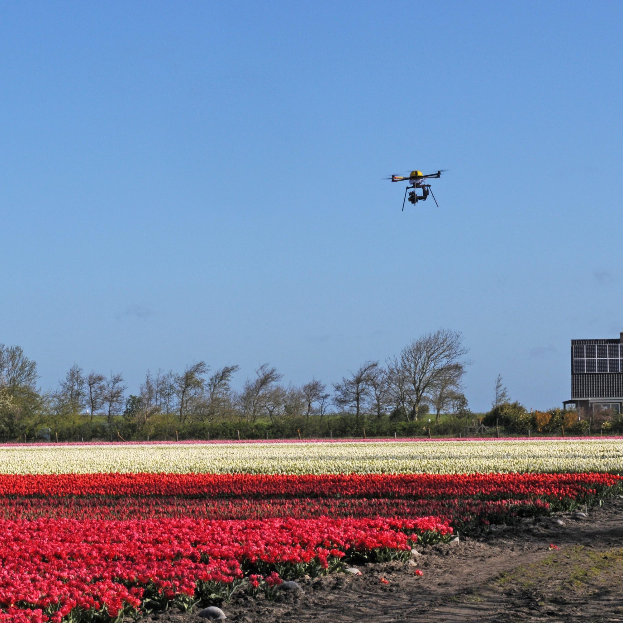 De oogstverwachting - fluwelnl
