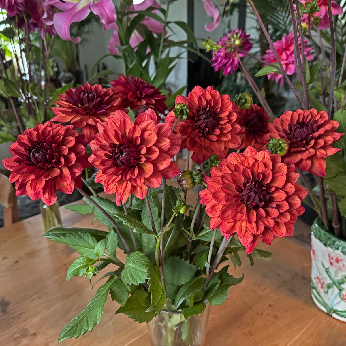 En het werd winter… - fluwelnl