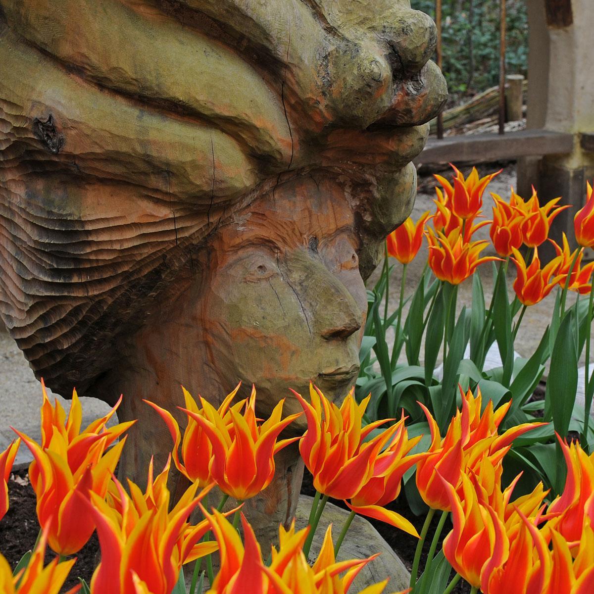 Groot nieuws! - fluwelnl