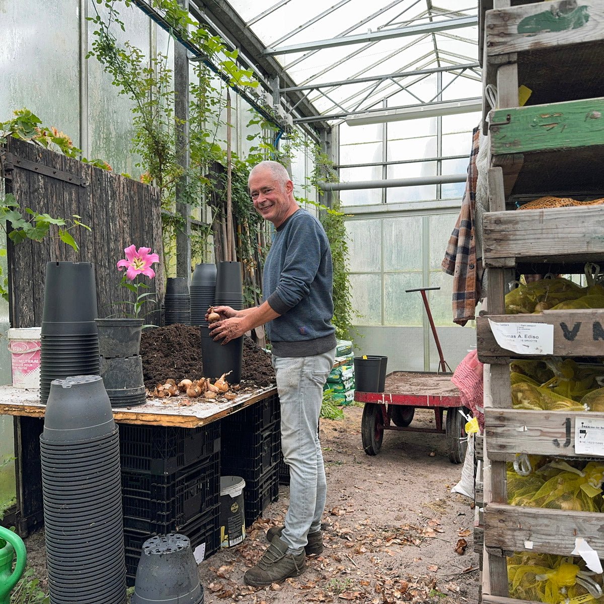 Het voorjaar is te mooi om niet gevierd te worden - fluwelnl