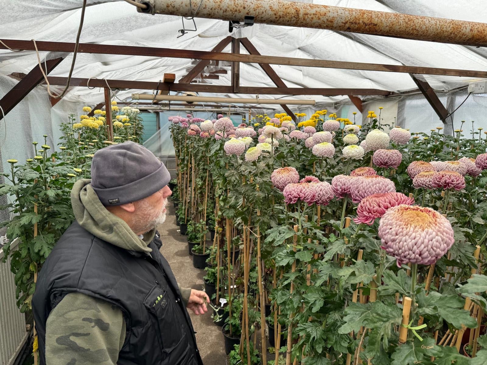 Ik weet het nu zeker - fluwelnl
