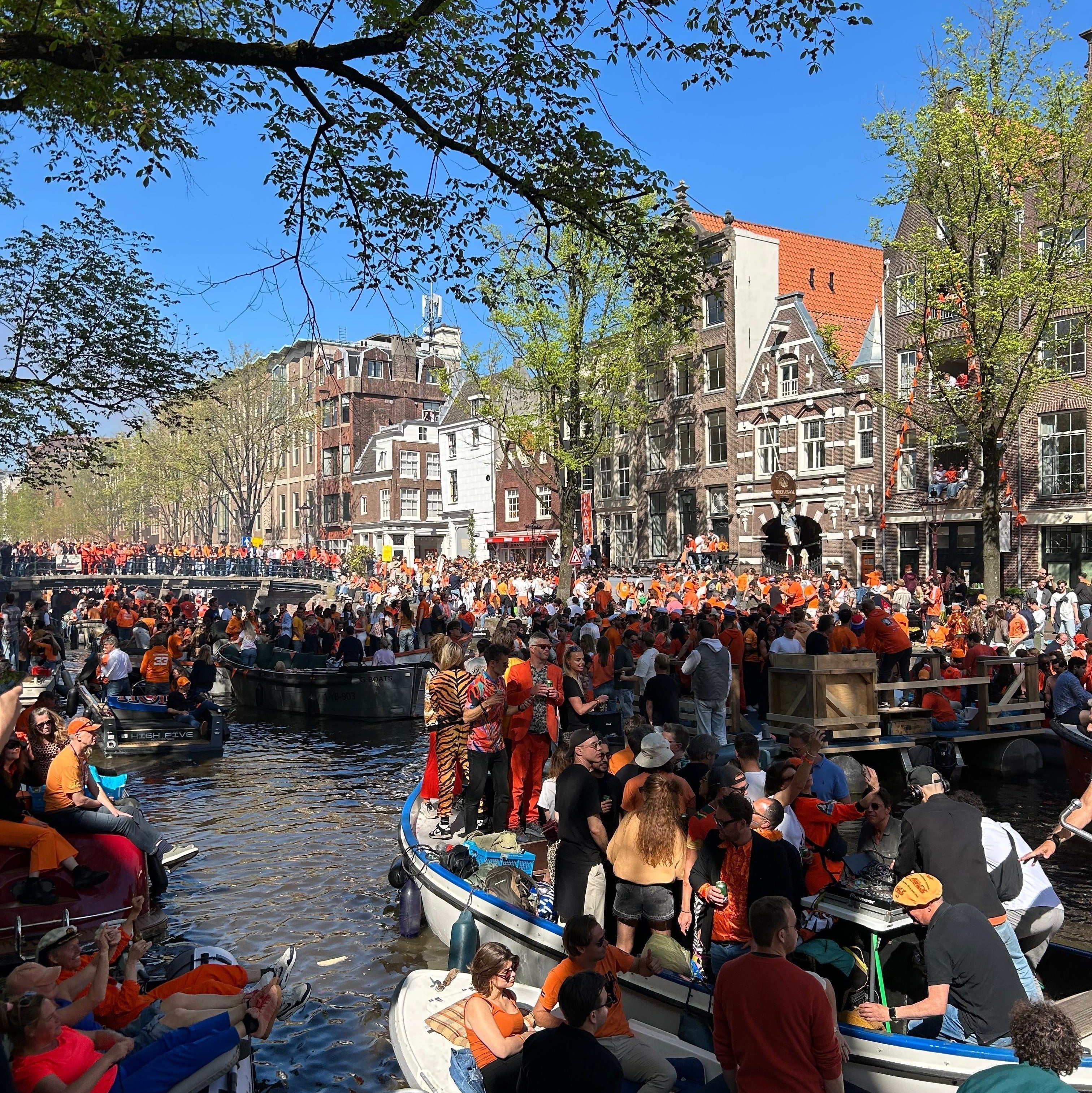 Koningsdag - Fluwel