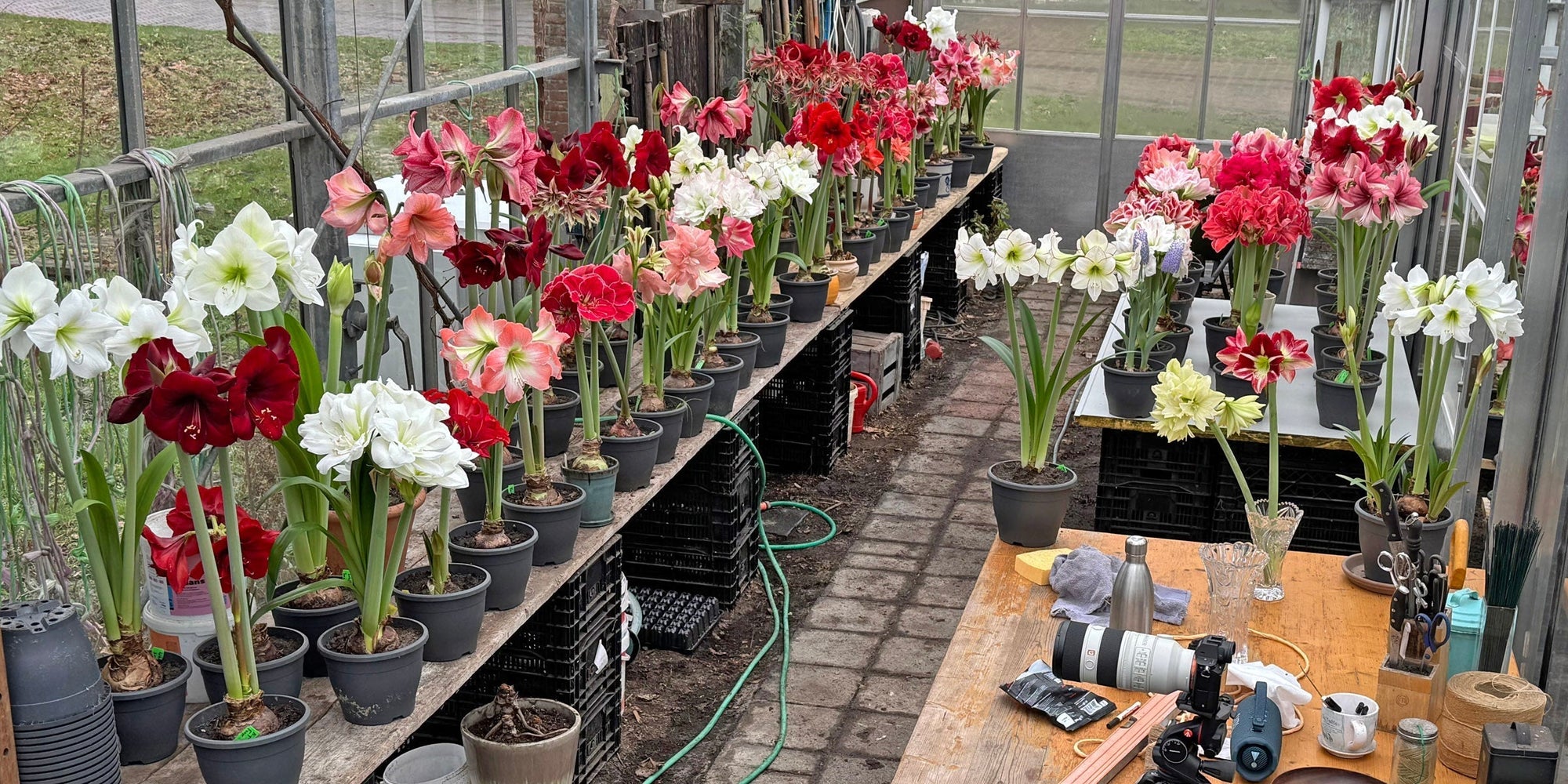 Lekker porrelen in mijn kasje - fluwelnl