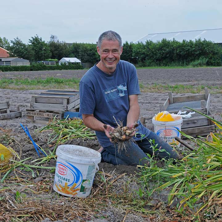 Narcissen! - fluwelnl