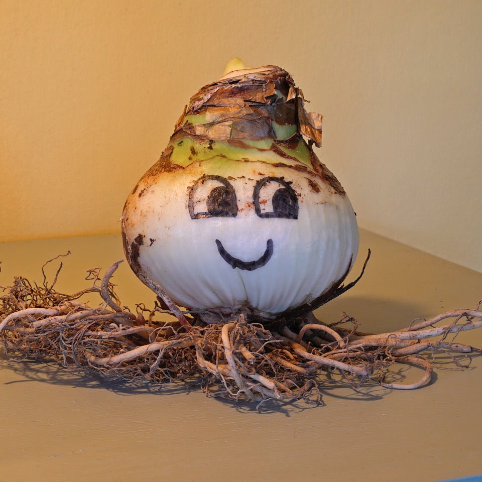 Overdosis - fluwelnl