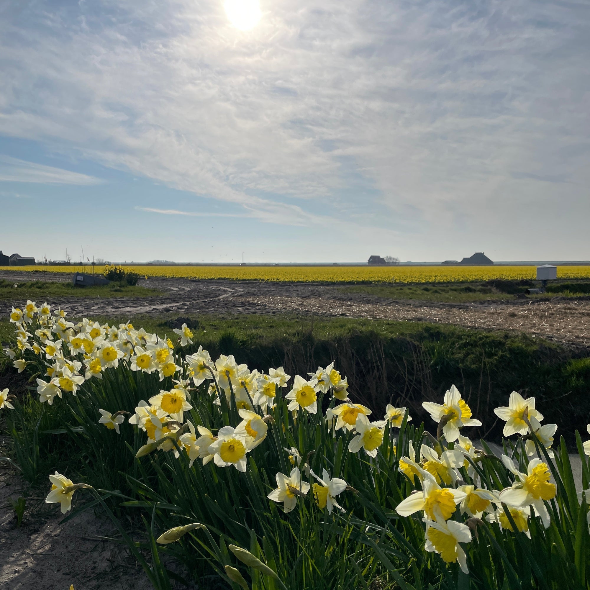 Te veel te vertellen voor een nieuwsbrief! - fluwelnl