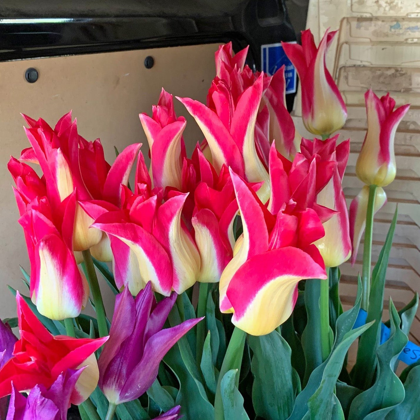 Voetmassage - fluwelnl