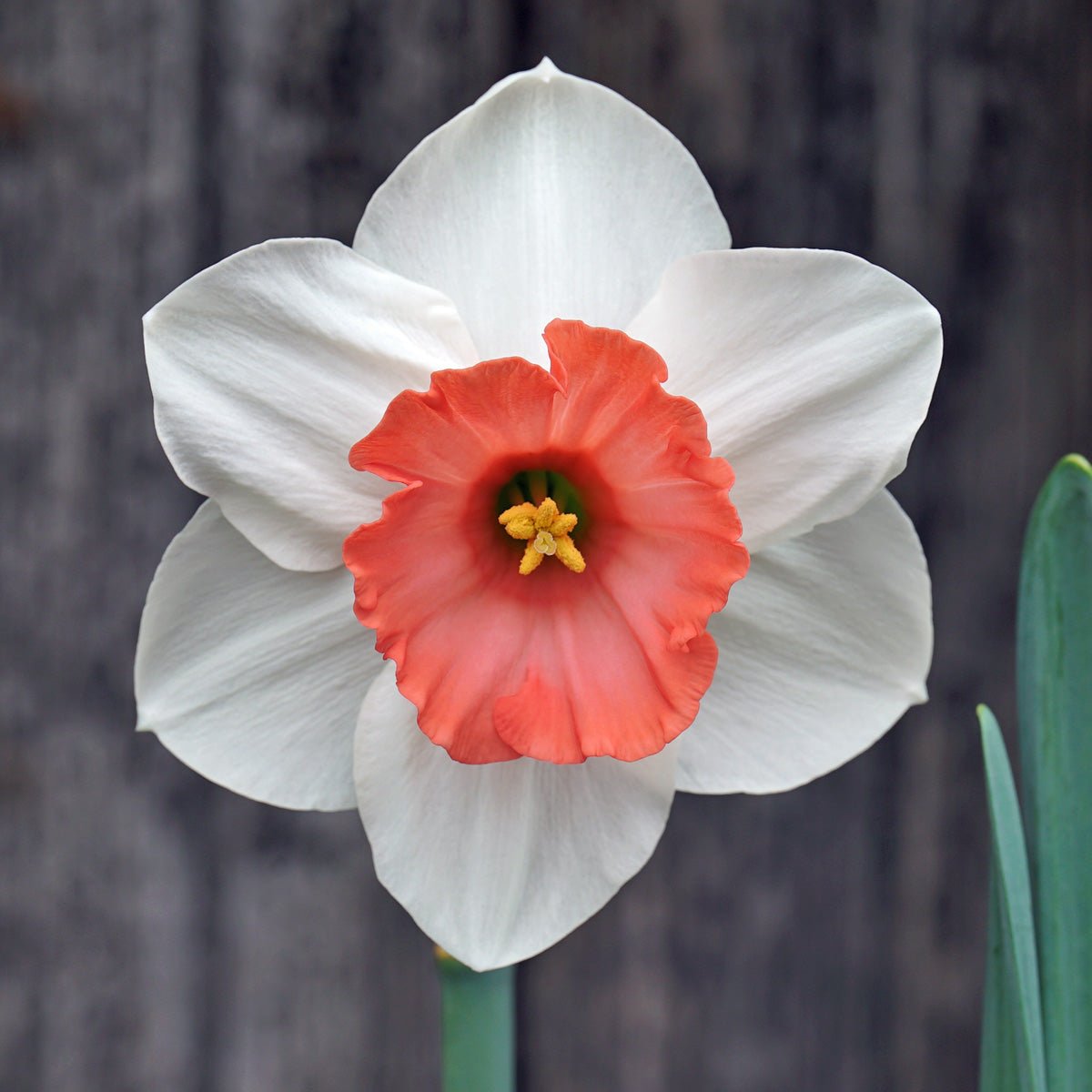 Woensdag wasdag - fluwelnl