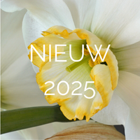 New in 2025!