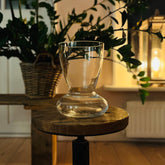 Amaryllis vase with Amaryllis bulb