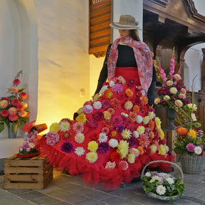 Dahlia Plukkie Plukkie mixture