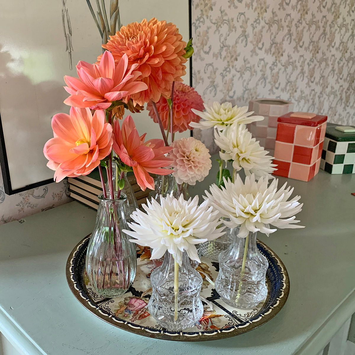 Dahlia Plukkie Plukkie mixture