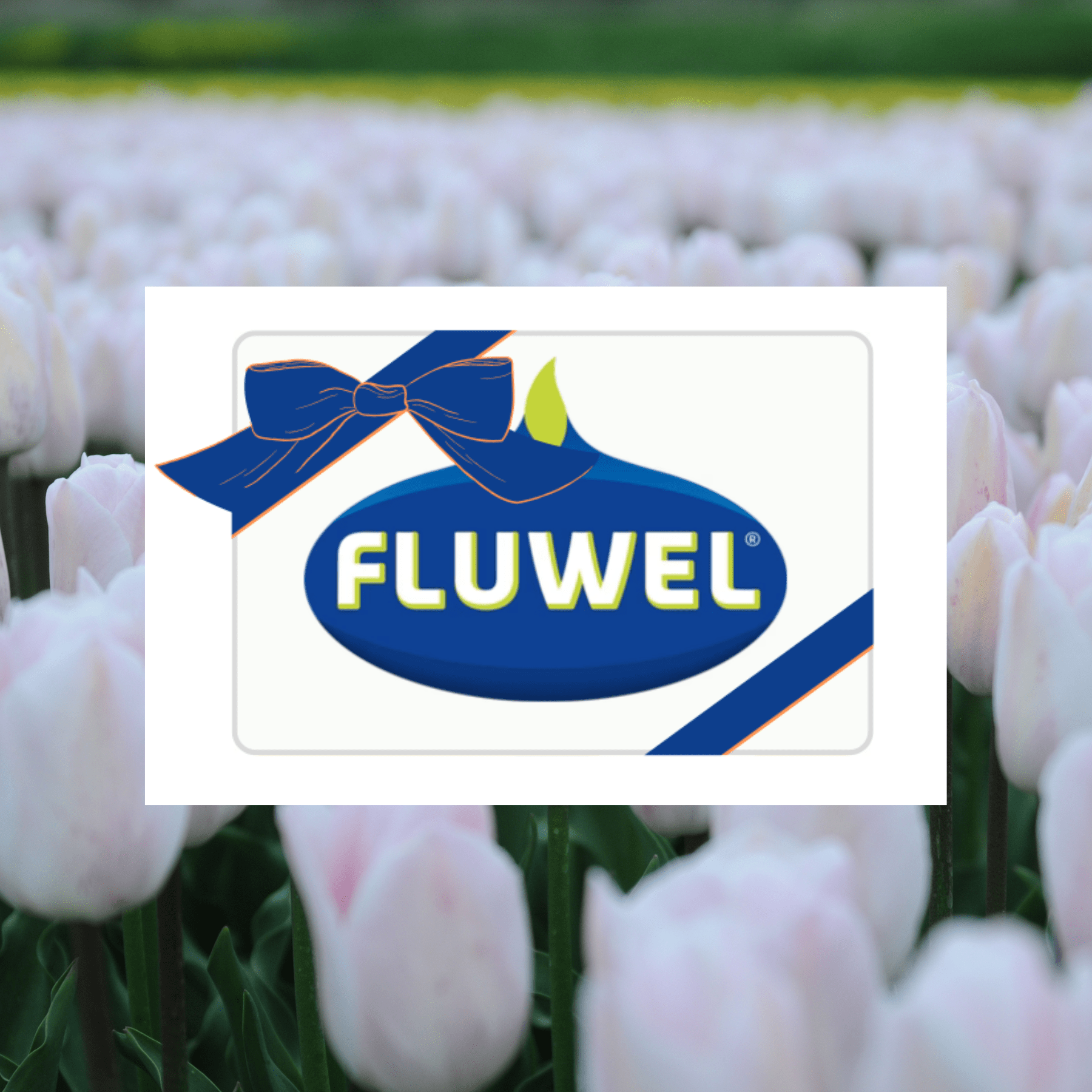Cadeaubon - Gift - Fluwel