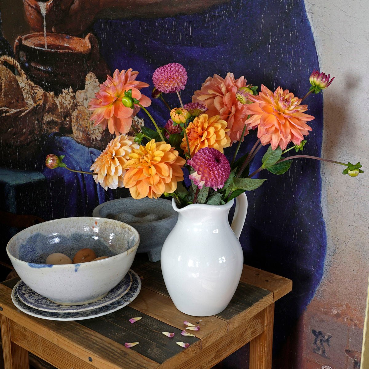 Dahlia Plukkie Plukkie mixture - meerkleurige dahlia - Fluwel