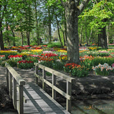 De Doos - Bundle - Fluwel