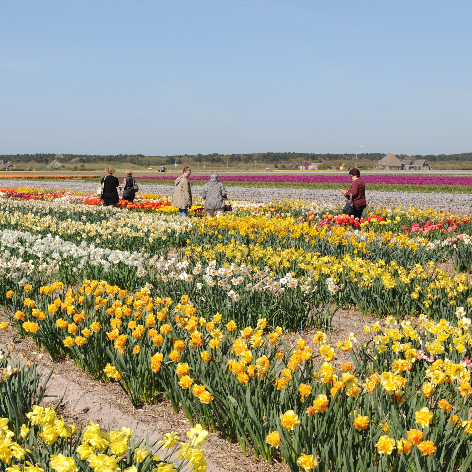 De Doos - Bundle - Fluwel