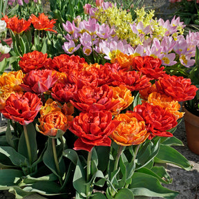 Hot Item - Mixes - Fluwel