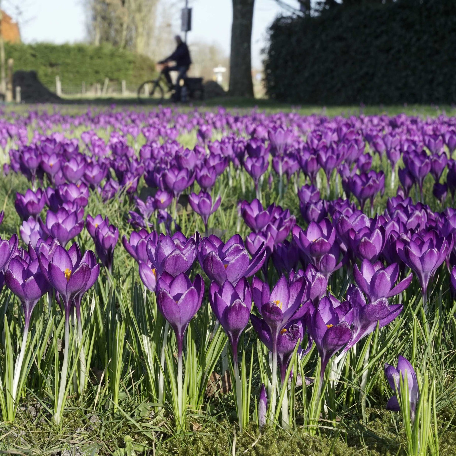 Miss Nixmix - Mixes - Fluwel