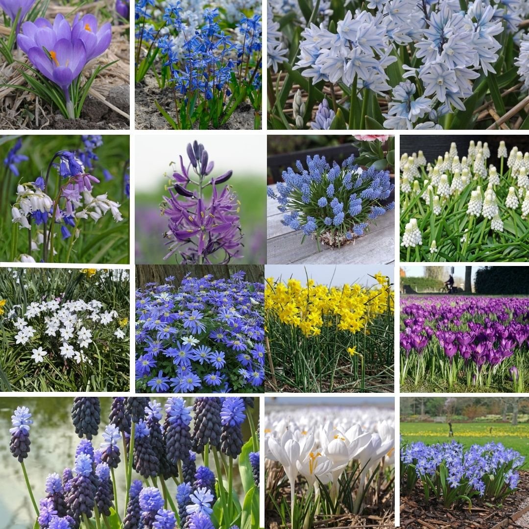 Miss Nixmix - Mixes - Fluwel