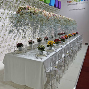 Amaryllis White Amadeus - Amaryllis - Fluwel