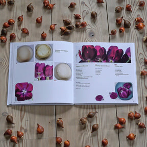 Eet Smakelijk - Gift - Fluwel