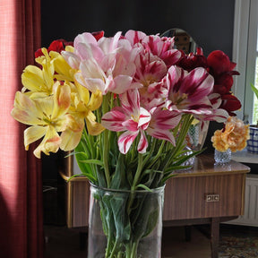 Family Reunion - Mixes - Fluwel